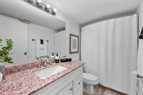 Charming Mt. Adams 1BR in Prime Location!
